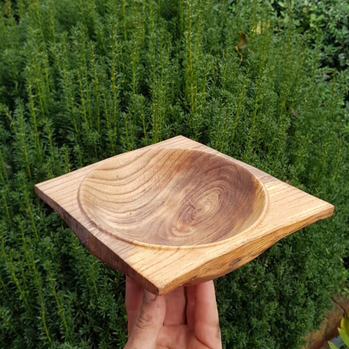 Elm bowl - Wood