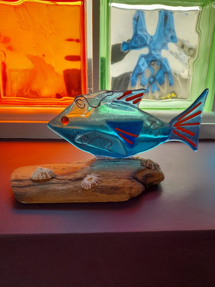 Blue fish - Fused Glass mounted on driftwood decorated with shells