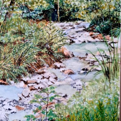 The stream - Water colour - 16 x 20 inches - by Janet Woods-Lennon