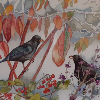 Autumn Blackbirds - watercolour - 40x25cm - by Jo Flatt