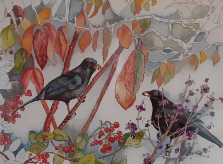 Autumn Blackbirds - watercolour