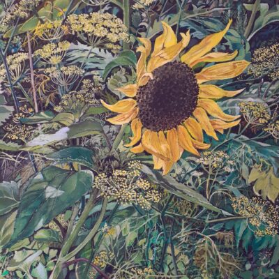 Sunflower and fennel - oil paint - 30x30cm - by Jo Flatt