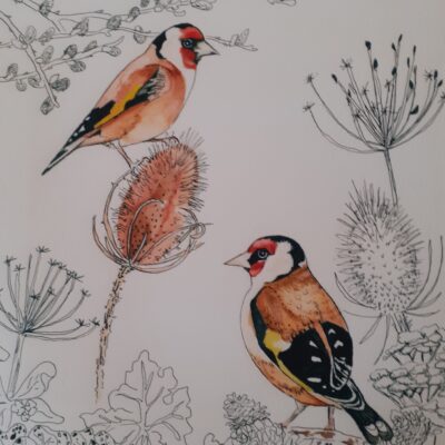 Goldfinches and teasels - watercolour and ink - 40x25 - by Jo Flatt