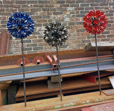 Coloured small Alliums. - METALWORK - 49.1KB - by Paul Mahony