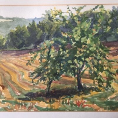 Fruit Trees in Summer Landscape LOT France - Watercolour - 27cm X 36cm - by Miranda Phillimore