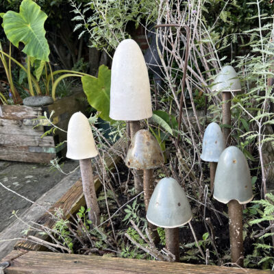 Harbour Mushrooms - Ceramic & wood - 15 to 30cms - by Jan Guest
