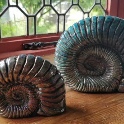 Ammonites - Raku - 15cmx15cmx5cm - by Su Cloud
