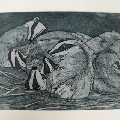 Badger Sett - Aquatint - 21 x 14 cm - by Tricia Johnson