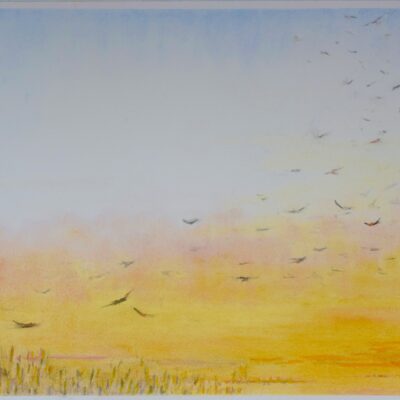 Swallows - pastel on paper - 39 x 30cm - by Isabel Dodson