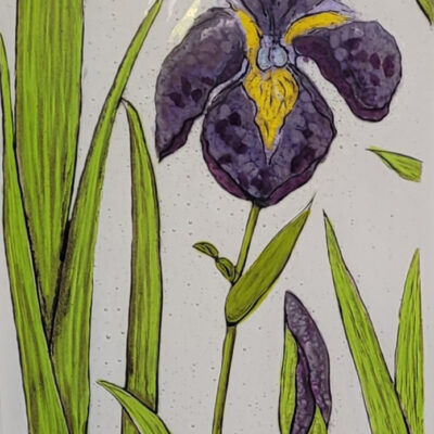 Iris Stained Glass Panel - Fused and Handpainted Glass - 90 x 25 cm - by Jan Simpson