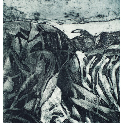 Strath Bay - etching - 48x29cm unframed - by Daphne Casdagli