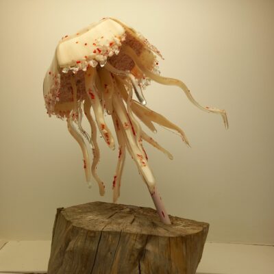 Jellyfish - Glass - 55cm x 32cm x 32cm - by Kate Mercy
