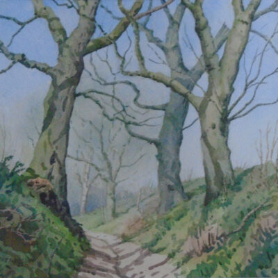 Sunken Lane near Lodsworth - Watercolour - 25.5 x 25.5 cms - by John Robinson