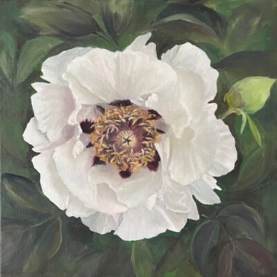 Peony - Oil on canvas - 30cm x 30cm - by Rosy Turner