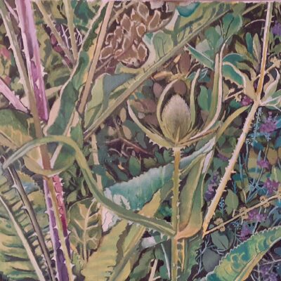 Tangle of Teasels - Oil paint