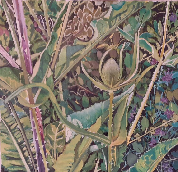 Tangle of Teasels - Oil paint