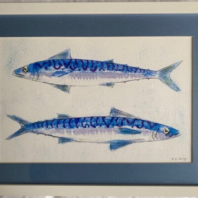 Mackerel - Watercolour - 32cmx40cm - by Michael Cowley