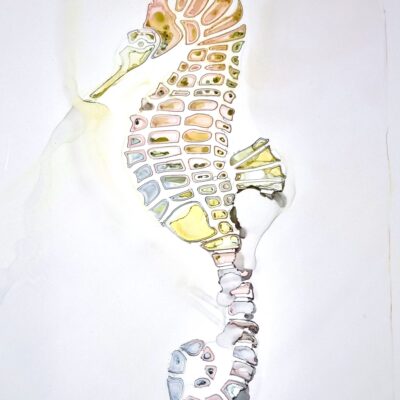 Seahorse 1 - alcohol ink - 30cm x 20cm - by Caroline Henderson