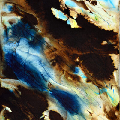 Kelp Forest - Ink on paper - 43x33cm - by Jane Fremantle