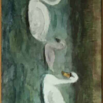 Swans family on the River Ouse at Lewes - Watercolour - 52 x 25 cams - by Jane Quail
