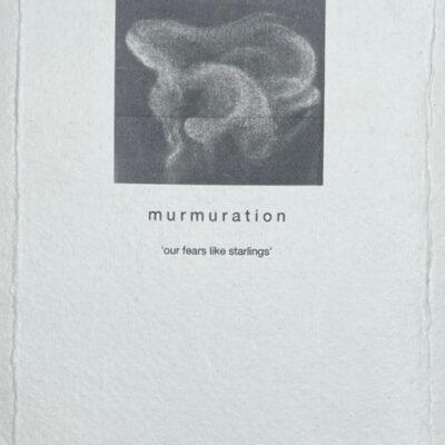 Murmuration  - 