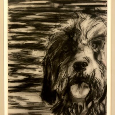 Wet Dog - Charcoal - 55cm x 45cm - by James Ware