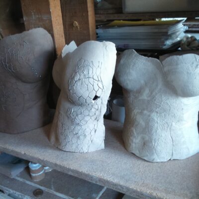 Selection of torsos - Stoneware ceramics - Mixed - by Mim McCann