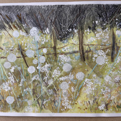 Cottage Garden Downlands Museum - Mixed Media - A3 - by Nancy Hardy