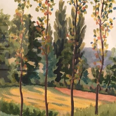 Young Poplars, Lot, France - watercolour - 55 x 45 cm - by Miranda Phillimore