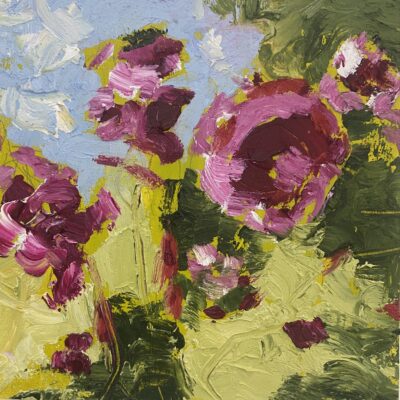 Perfect Peonies - Oil - 15 x 15 x 2 cms - by Polly Dutton