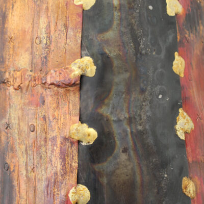 VENUS TASTE (very close up) - Copper & mild steel, waxed - 204 x 35 x 29 - by Tim Sandys-Renton