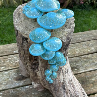 Funky Fungi - Glass and Wood - 60 cm high - by Lorraine Keeler