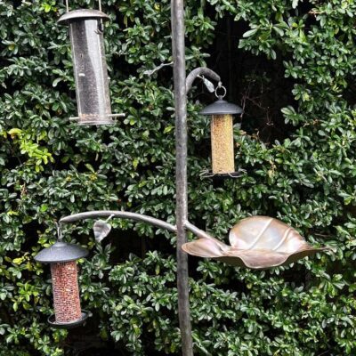 Birdbath/Feeder - metalcraft - 332 - by Paul Mahony