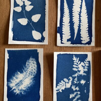 nature - cyanotype on legion Stonehenge - a6 - by Lisa Mundy