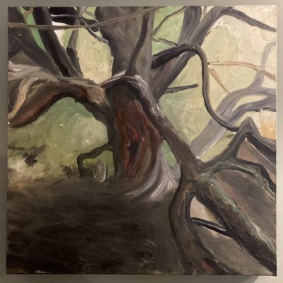 tree - oil on canvas - 300mm x 300mm - by Mark Antony Haden Ford