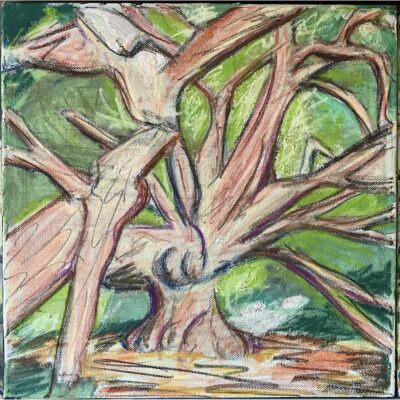 tree study - oil on canvas - 300mm x 300mm - by Mark Antony Haden Ford