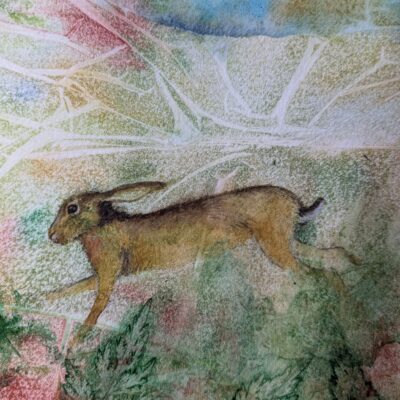 Wild hare - Watercolour print - 8 x 8 inches - by Karen Boxall