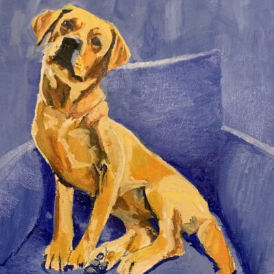 Dog - Acrylic - by Donna Chapman