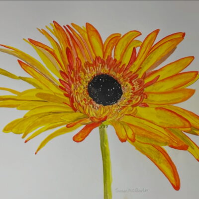 Lasy sunflower - Gouache and watercolour - 40cm x 40cm - by Susan Baxter