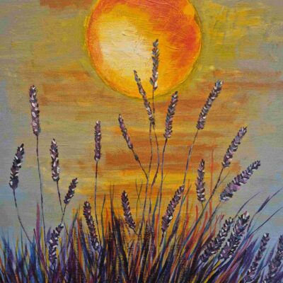 Lavendula sun - Acrylic on canvas - 20in x 16in - by Tim Grainger