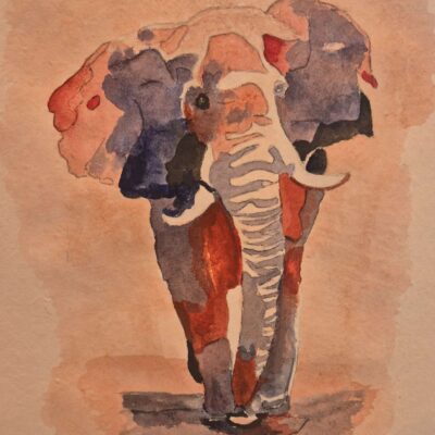 The bull - Acrylic on linen paper - 17in x 20in - by Tim Grainger