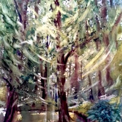 Light Dancing Through the Trees - Transparent Watercolour - 56 x 38 cm - by Bridget Woods