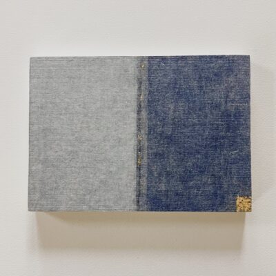 Shade - mixed media - 21 x 14 cm - by Sian Van Driel