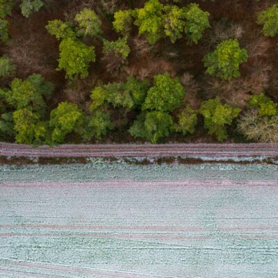 Green & White - Photo - 2560 x 1438 - by Greg Choppen