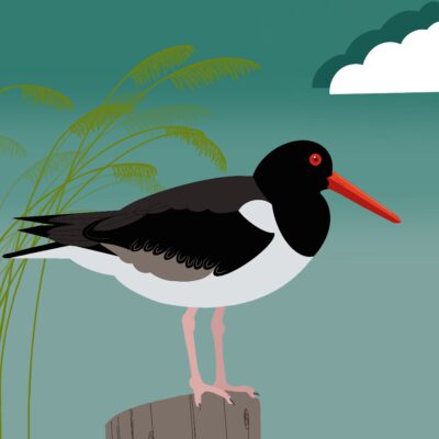 Harbour Watch - Digital - 12x12 - by Alison Carpenter