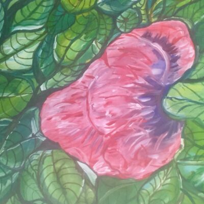 Pink Poppy - Acrylic on canvas paper - A1 - by Nina Viljoen