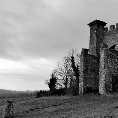 Fruit bowl - Sycamore, oiled and waxed - 240mm - by Alun Beard