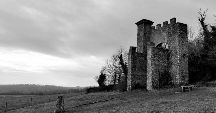 Fruit bowl - Sycamore