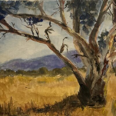 The Eucalpytus Tree - Acrylic - 39 cm x 49 cm - by Patsy Parfitt