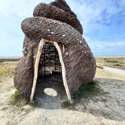 Periwinkle - willow and wire - 4.5m x 3.5m - by Mark Antony Haden Ford